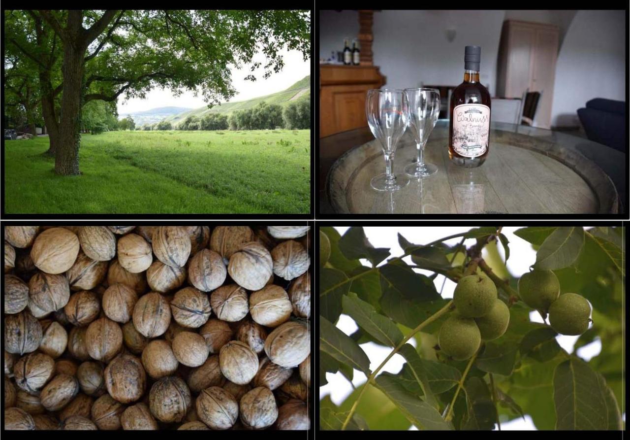 The Wine Cellar In The Old Gemeinde House Brauneberg Extérieur photo